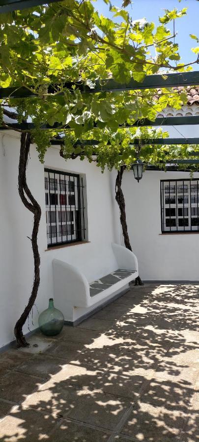 El Lagar De Piedra Villa San Juan de la Rambla Exterior foto